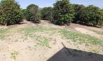 Imagem: FAZENDA RURAL em GARÇA - SP,.