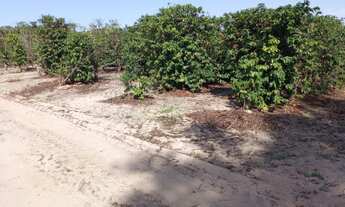 Imagem 5: FAZENDA RURAL em GARÇA - SP, ...