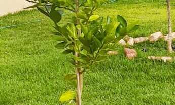 Imagem 6: CASA RESIDENCIAL em RIFAINA - SP, CENTRO