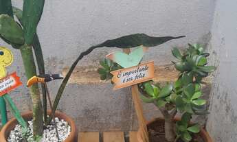 Imagem 5: CASA RESIDENCIAL em FRANCA - SP, VILLA REAL