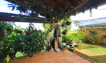 Imagem 3: CHACARA RESIDENCIAL em Americana - SP, Jardim Novo México