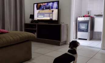 Imagem 5: APARTAMENTO RESIDENCIAL em SÃO JOSÉ DOS CAMPOS - SP, JARDIM SATÉLITE