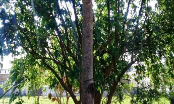 Imagem: CASA RESIDENCIAL em TAUBATÉ - SP, RESIDENCIAL