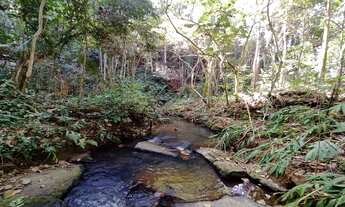 Imagem 5: OPORTUNIDADE! CHÁCARA NO BAIRRO DOS FREITAS, COM 16.000 m² DE ÁREA TOTAL. TENHA UM PARAÍSO