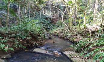 Imagem 6: OPORTUNIDADE! CHÁCARA NO BAIRRO DOS FREITAS, COM 16.000 m² DE ÁREA TOTAL. TENHA UM PARAÍSO