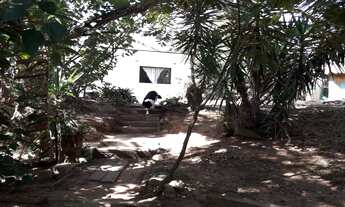 Imagem 5: CHACARA RURAL em TREMEMBÉ - SP, CENTRO