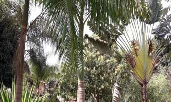 Imagem 6: CHACARA RURAL em TREMEMBÉ - SP, CENTRO