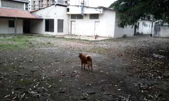 Imagem: TERRENO COMERCIAL em SÃO JOSÉ DOS CAMPOS
