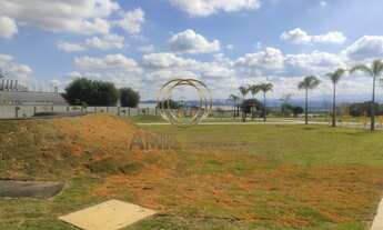 Imagem 3: Lote- Terreno - Plano 250 m² - Loteamento novo Vila Amélia - Zona Sul