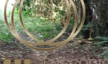 Imagem 6: Área com 24.000m², Santa Cecília ll, ESCRITURADO, São José dos Campos