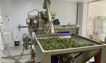 Imagem 3: Sítio Industrial à Venda em Lorena-SP: 19,7 hectares para Fábrica de Azeite, Sucos e Ervas