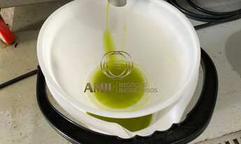 Imagem 4: Sítio Industrial à Venda em Lorena-SP: 19,7 hectares para Fábrica de Azeite, Sucos e Ervas