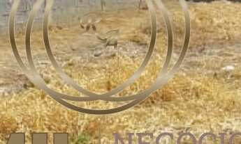 Imagem 2: Vende ,Terreno/Lote - Bairro Setville, 175m², Plano - Zona Residencial e comercial - Zona