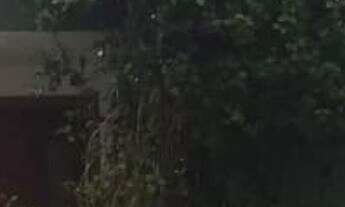 Imagem 4: Prédio Comercial, 12 salas / 7 banheiros / 4 Vagas / 312m² / Vila Ema / São José dos Camp