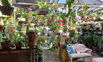 Imagem 5: Ponto Comercial para Venda no bairro Parque Senhor do Bonfim, localizado na cidade de Taub