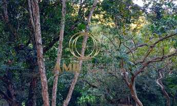 Imagem 4: RA Amil negócios imobiliários VENDE / Chácara com 3 dormitórios à venda, 5000 m² por R$ 80