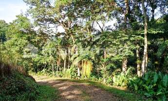 Imagem: 33500M² de Área Total na Estrada Hermult