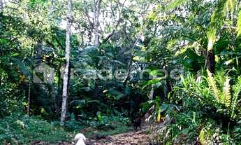 Imagem 5: 33500M² de Área Total na Estrada Hermult Tribess