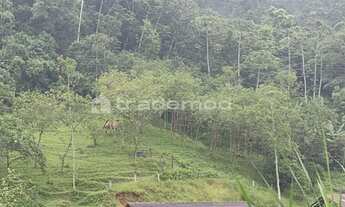 Imagem 2: 47000M² de Área Total na Rua Doutor Wunderwald