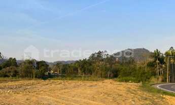 Imagem 1: 1000M² de Área Total na Rua Progresso