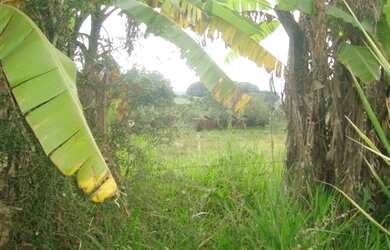 Imagem 4: ÁREA RESIDENCIAL em INDAIATUBA - SP, PIMENTA