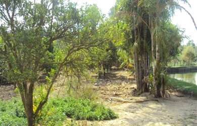 Imagem 7: CHÁCARA RESIDENCIAL em INDAIATUBA - SP, MIRIM