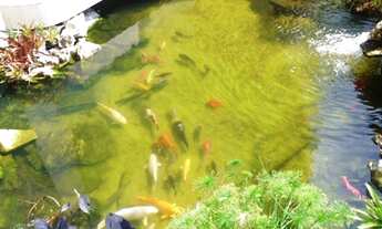 Imagem 7: CASA RESIDENCIAL em INDAIATUBA - SP, TERRA MAGNA