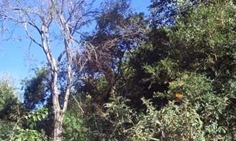 Imagem 2: TERRENO RESIDENCIAL em INDAIATUBA - SP, VALE DAS LARANJEIRAS