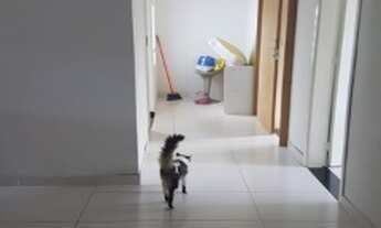 Imagem 3: CASA PARA VENDA - VILA GEORGINA - INDAIATUBA /SP