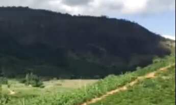 Imagem 2: 3 dormitórios, 2 banheiro, 43M² de Área Total