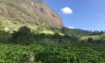 Imagem 6: 3 dormitórios, 3 banheiro, 43M² de Área Construída, 43M² de Área Total