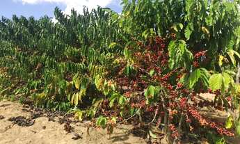 Imagem 7: 3 dormitórios, 3 banheiro, 43M² de Área Construída, 43M² de Área Total