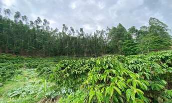 Imagem: SITIO RURAL em COLATINA - ES, CENTRO