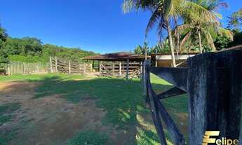 Imagem 6: LINDO SÍTIO EM GUARAPARI