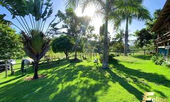Imagem 4: LINDO SÍTIO EM GUARAPARI