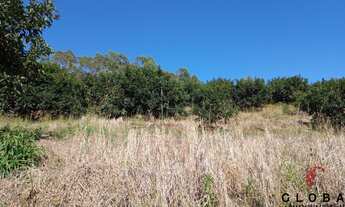Imagem 6: Terreno à venda em Aracé, Pedra Azul - ES