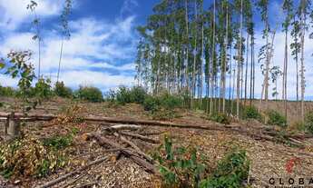 Imagem: Apartamento à venda em Domingos Martins