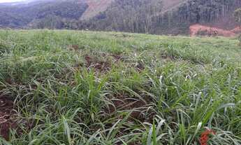 Imagem 3: Terreno à venda em Pedra Azul -ES