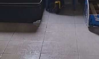 Imagem 2: CHACARA 1.500 M²