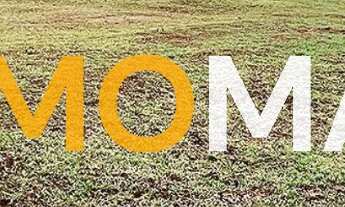 Imagem: Terreno Industrial em Condomínio Fechado