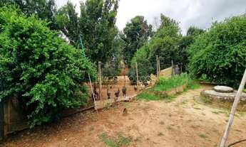 Imagem 6: Chácara em Indaiatuba R$540.000,00 1000m2