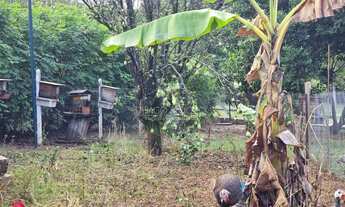 Imagem 7: Chácara à venda no Lagos de Shanadu, 5000 m² Lagos de Shanadu - Indaiatuba/SP R$2.800,000