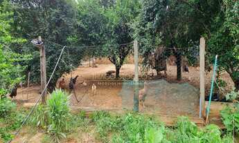 Imagem 4: Chácara em Indaiatuba R$540.000,00 1000m2