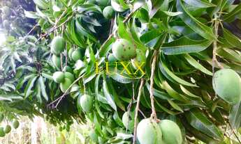 Imagem 7: TERRENO À VENDA PARQUE DA FAZENDA - ITATIBA/SP