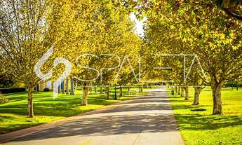 Imagem 5: Lote / Terreno com preço de ocasião à venda na Quinta da Baroneza