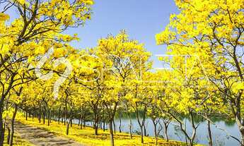 Imagem 6: Lote / Terreno com preço de ocasião à venda na Quinta da Baroneza