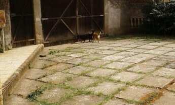 Imagem 4: Chacara Residencial em Alumínio - SP, Itarare