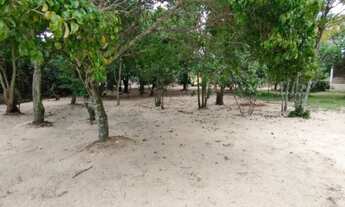 Imagem 2: SÍTIO COM 1 DORMITÓRIO À VENDA, 5000 M² POR R$ 1.200.000 - UNAMAR - CABO FRIO/RJ