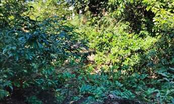 Imagem 5: TERRENO À VENDA, 1100 M² POR R$ 310.000 - UNAMAR - CABO FRIO/RJ