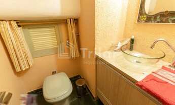 Imagem 6: Bosque dos Eucaliptos- Zona Sul de São José!